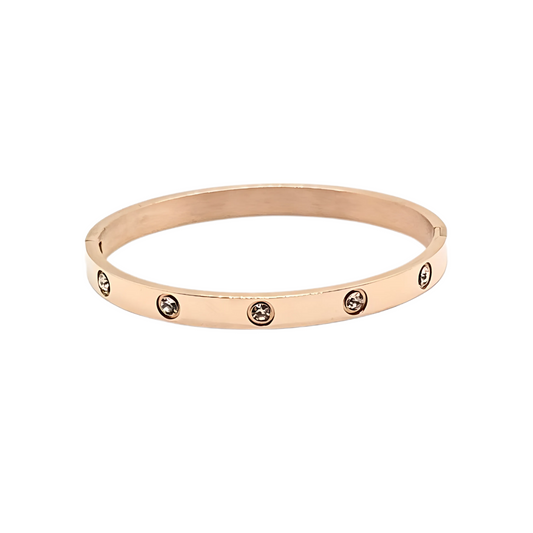 Cartier Love Bangle Stone Embedded